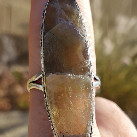 New Petrified Wood Jasper Silver Statement Ring. - Picture 11 of 13